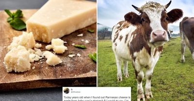 The Shocking Truth About How Parmesan Cheese Is Made That Will Leave You Surprised