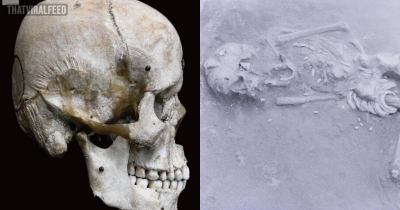Scientists Just Determined That The Hirota People Of Japan Intentionally Deformed Their Skulls Centuries Ago