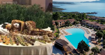 Luxury Hotel Apologizes For Serving Chocolate-Covered Woman For Dessert In Front Of Kids