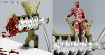 Terrifying Simulation Video Shows What Would Happen To You If You Fell Into A Meat Grinder