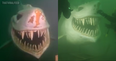 Divers Given Scare Of Their Life From Shark Statue Dumped At Bottom Of Lake