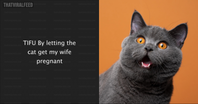 Man Gets Wife Pregnant. Blames Cat.