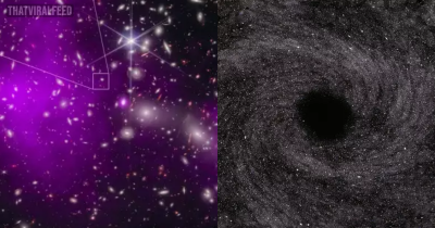 Scientists Find Oldest Ever Black Hole While Trying To Criticise Distant Galaxy