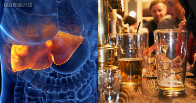 How Quickly It Takes Liver To Repair Itself After Quitting Drinking