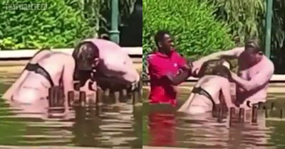 Heroic Passers-By Rescue Woman From Attempted Drowning By Man In Public Fountain