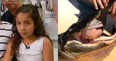 Clever Girl Saved Herself From Being Eaten By Alligator Using Trick She Learned At Gator-Themed Amusement Park