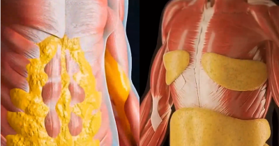 Eye-Opening Simulation Reveals How Your Body Reacts To A 36-Hour Fast