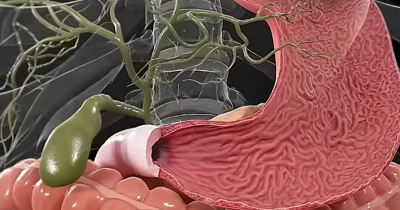 Shocking Simulation Reveals What Happens To Your Body During A 7-Day Fast
