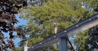 Hero Saves Missing Boy Stranded 100ft In The Air On Hersheypark Monorail Track