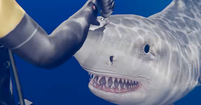 Shocking Simulation Shows How The 'World's Deadliest Knife' Would Work In A Shark Attack