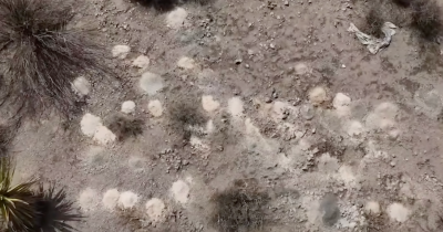 Over 100 Piles Of Human Remains Discovered In Nevada Desert Spark Federal Investigation