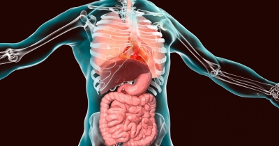 What Really Happens To Your Body If You Only Eat Red Meat