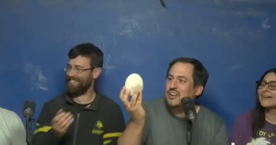 Scientists Find Perfectly Preserved Dinosaur Egg And Everyone's Making The Same Joke