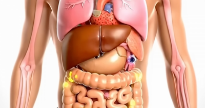 Shocking Simulation Reveals What Actually Happens To Your Body When You Quit Sugar For Seven Days